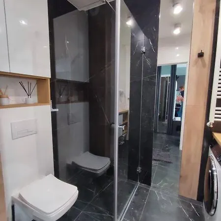 Green Apartment Βρότσλαβ